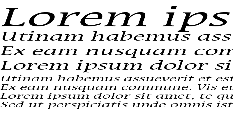 Sample of MirrorExtended Italic