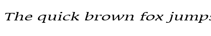 Preview of MirrorWide Italic