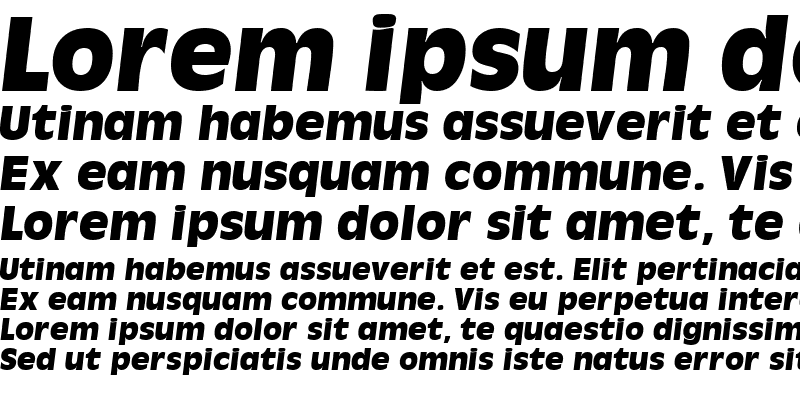 Sample of MisceDisplaySSK Italic