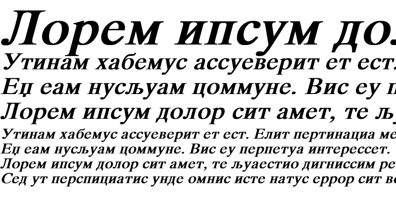 Sample of MKDTIMES Bold Italic