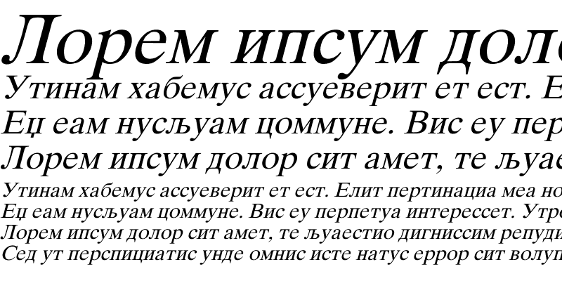 Sample of MKDTIMES Italic