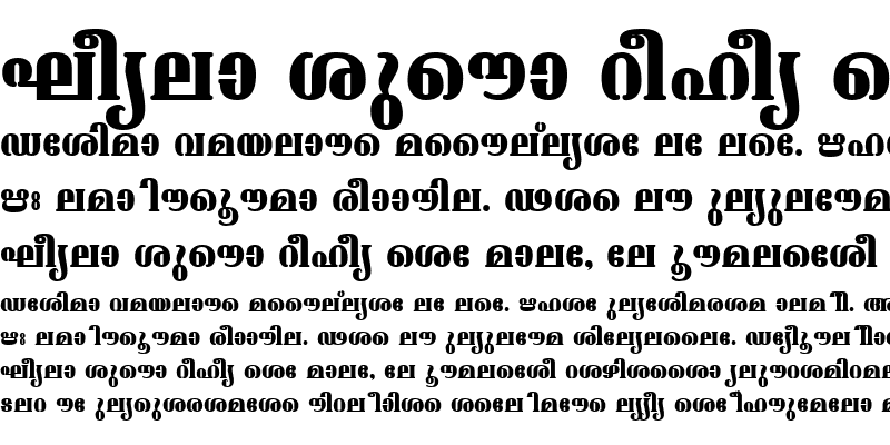 Sample of ML-TTAshtamudi Bold