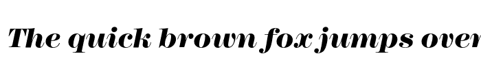 Preview of ModernNo216EF Heavy Italic