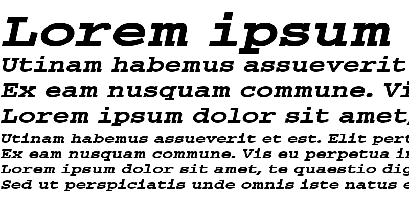Sample of MonumentExtended Italic