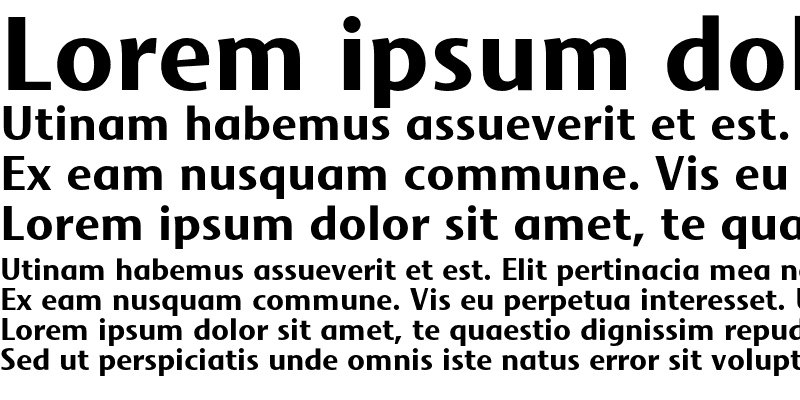 Sample of Mosquito Formal Std Bold