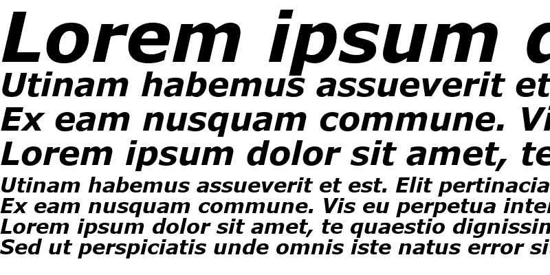Sample of MS Reference Sans Serif Bold Italic