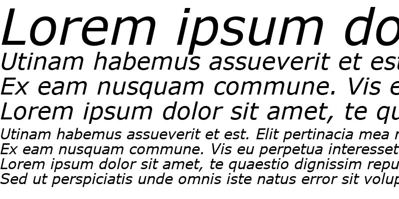 Sample of MS Reference Sans Serif Italic