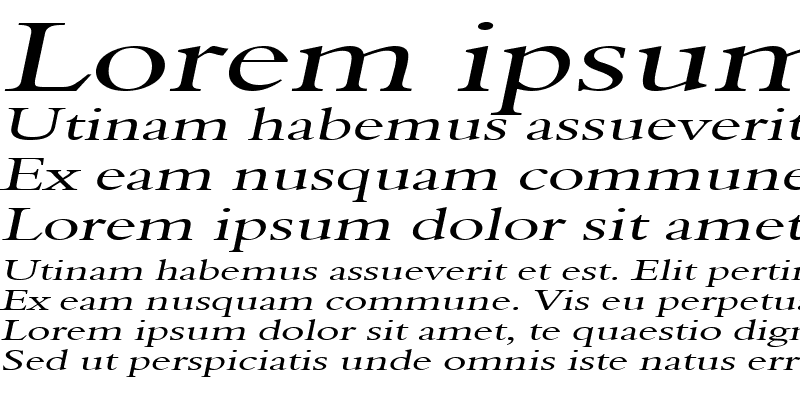 Sample of Nadine 2 Extended Italic