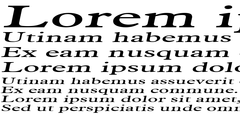 Sample of NadineExtended Italic