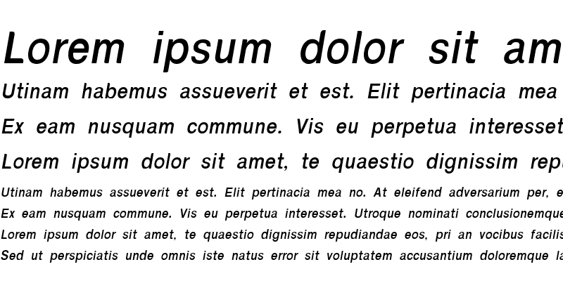 Sample of Nakaracha Bold Italic