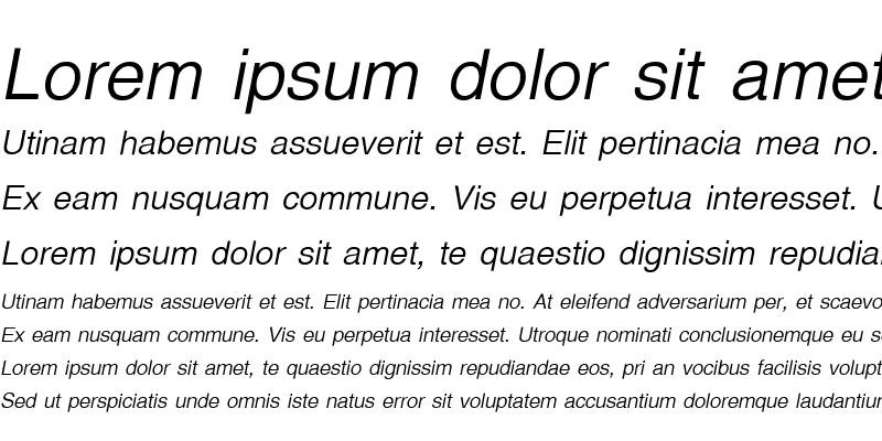 Sample of Nakaracha Italic