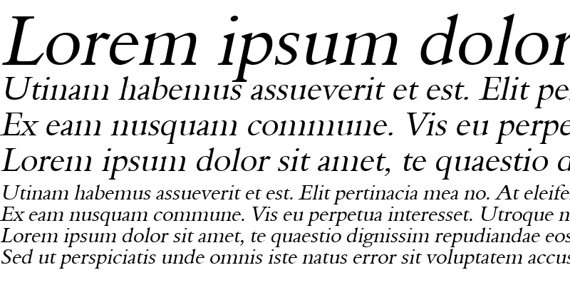 Sample of NalineWide Italic