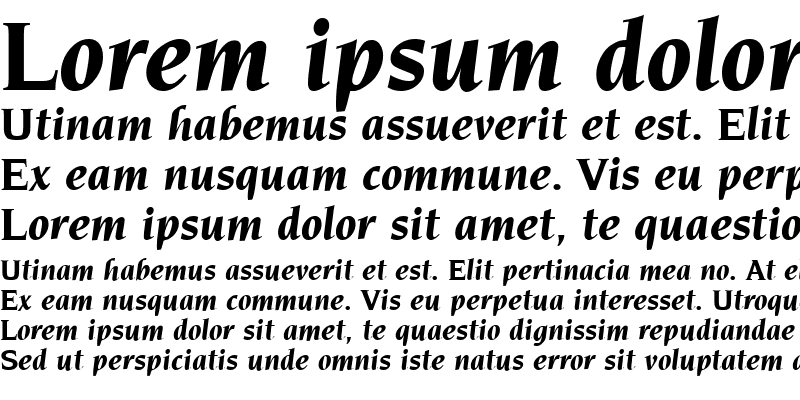 Sample of Navarro Bold Italic
