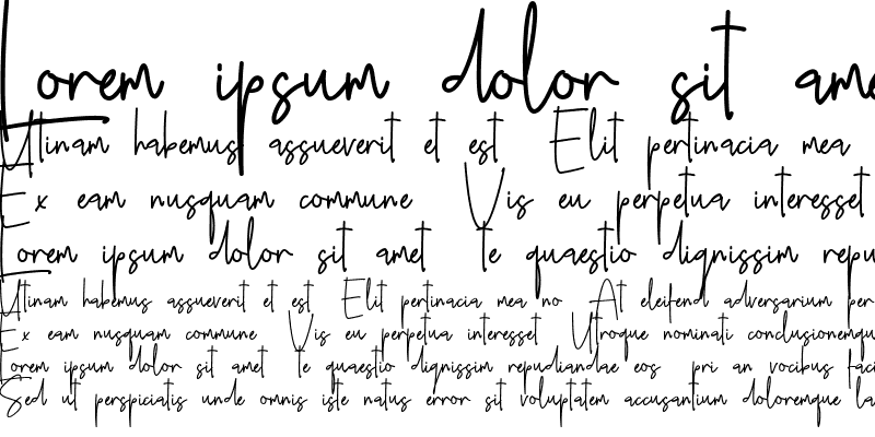 Sample of Nebbulla Regular