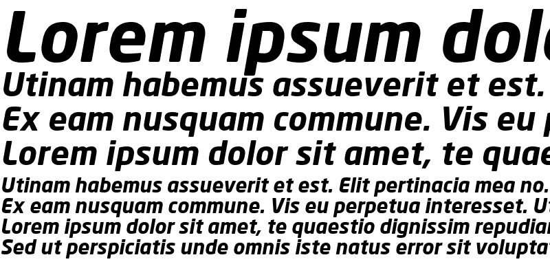 Sample of Neo Sans Bold Italic