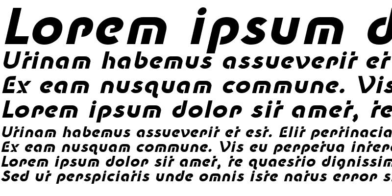 Sample of New Shape Bold Oblique