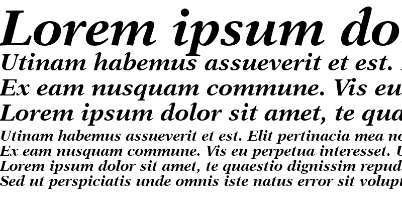 Sample of NewAster LT Bold Italic