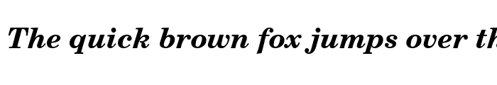 Preview of NewBrunswick Bold Italic