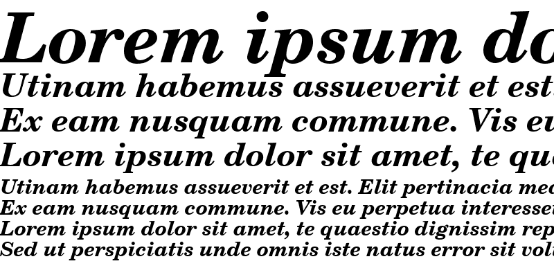 Sample of NewBrunswick Bold Italic