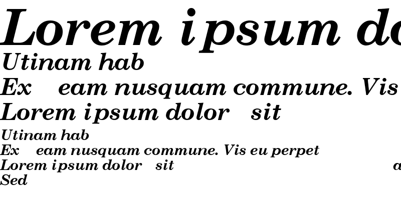 Sample of NewCenturySchlbk-Bold-Italic