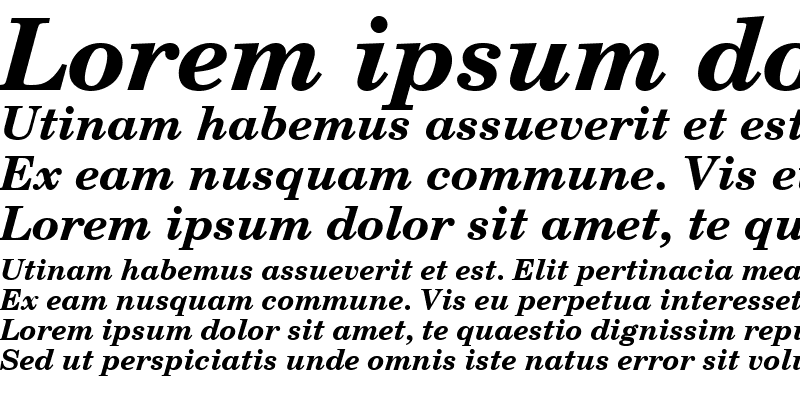 Sample of NewCenturySchlbk S Bold Italic