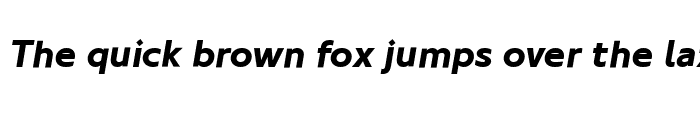 Preview of NewJohnstonMedium Bold Italic