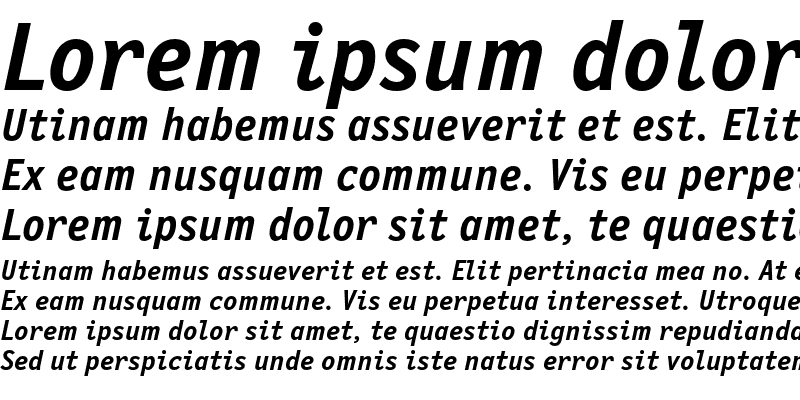 Sample of NewLetterGothicC Bold Italic