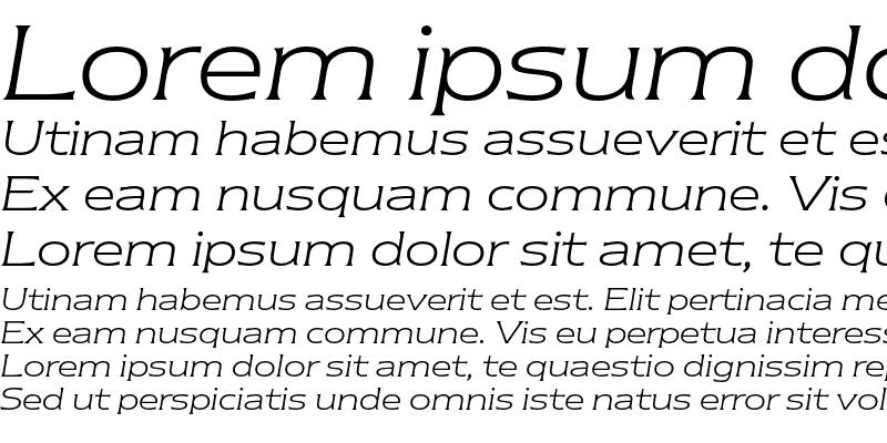 Sample of NewtextEF Light Italic