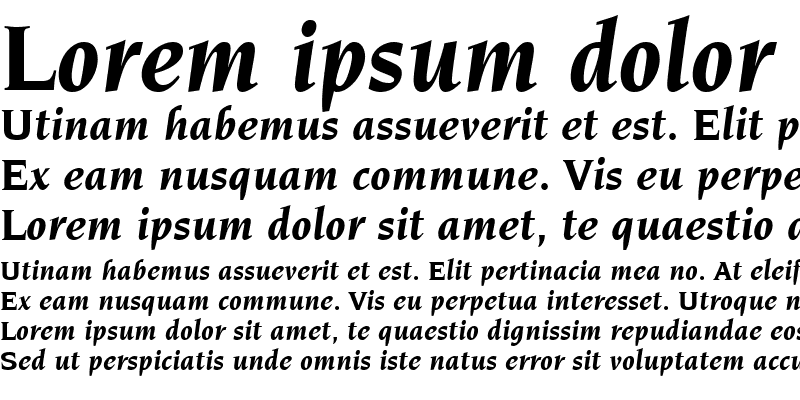 Sample of Novarese LT Book Bold Italic