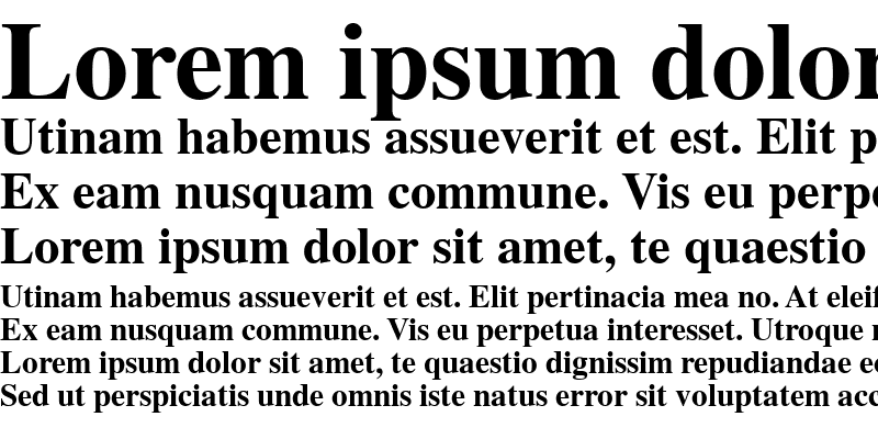 Sample of Noxchi Tms Roman Bold