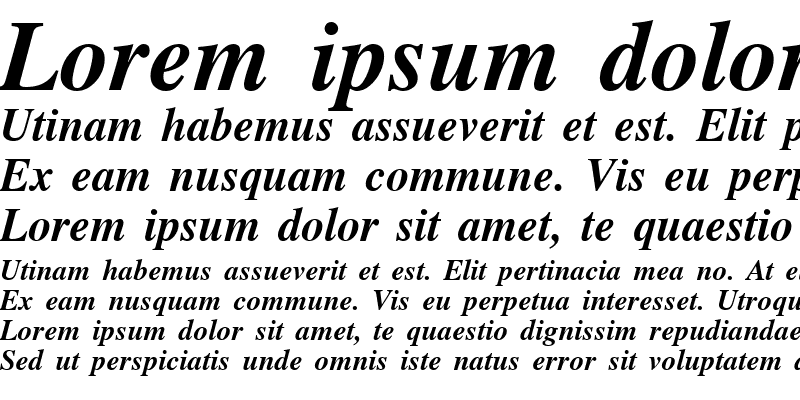 Sample of NTTimes/Cyrillic BoldItalic