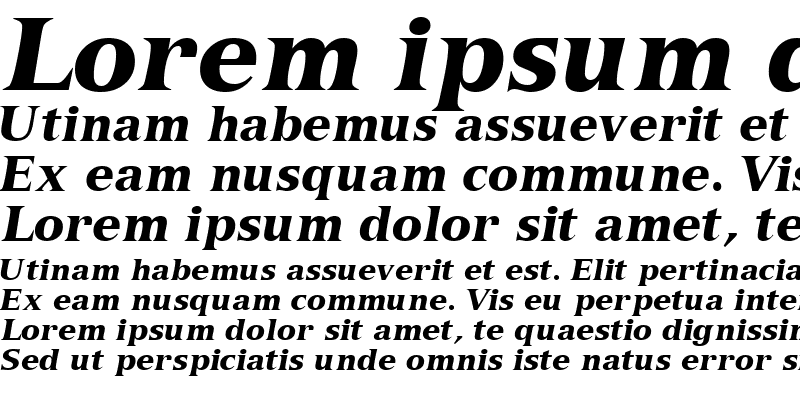 Sample of NuanceBlackSSi