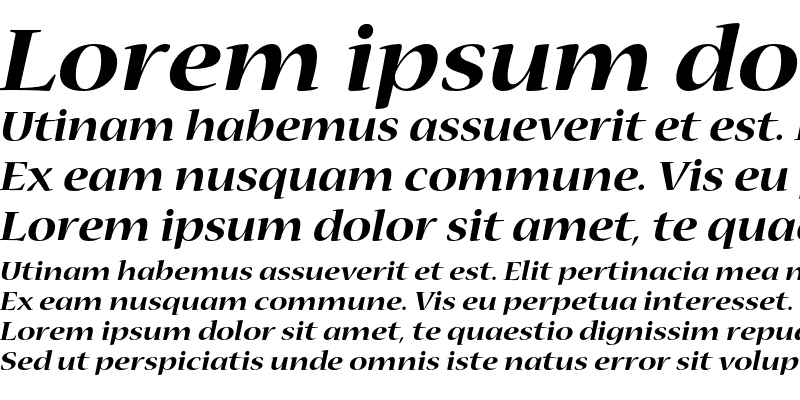 Sample of Nueva Bold Extended Italic