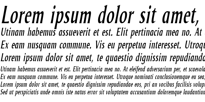 Sample of Odense Compr Italic