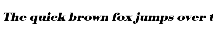 Preview of OlgaBeckerExtended Bold Italic