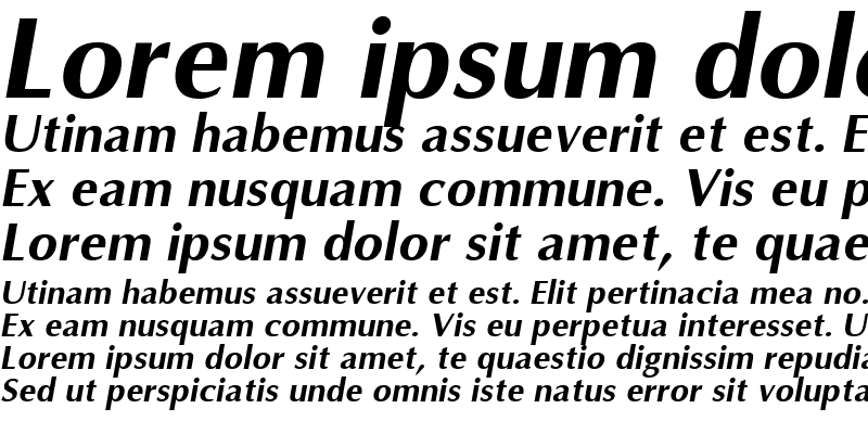 Sample of Omni Bold Italic