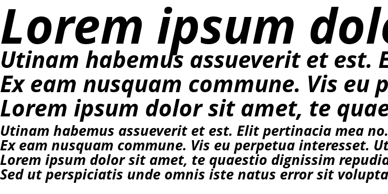 Sample of Open Sans Bold Italic