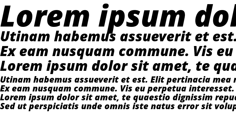 Sample of Open Sans Extrabold Italic
