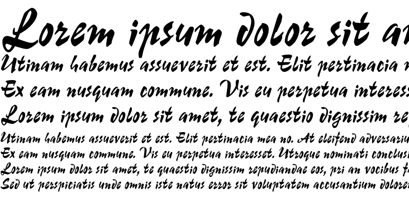 Sample of OPTIChampion Script