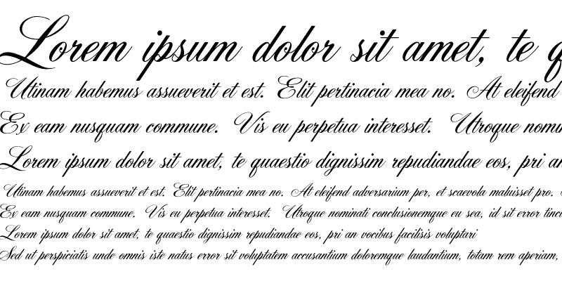 Sample of OPTIYork Script