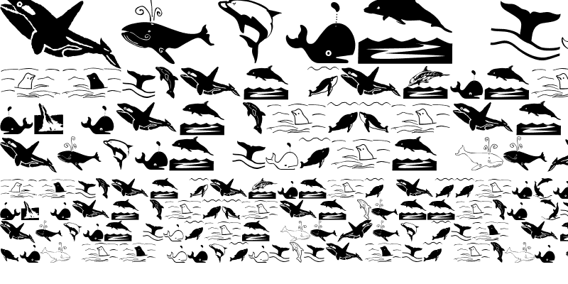 Sample of Orcas Regular