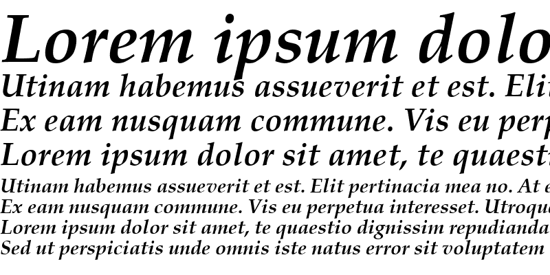 Sample of P052L Bold Italic