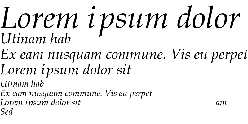 Sample of Palacio-Normal-Italic