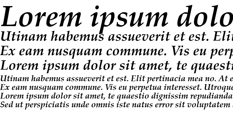 Sample of Palatino Linotype Bold Italic