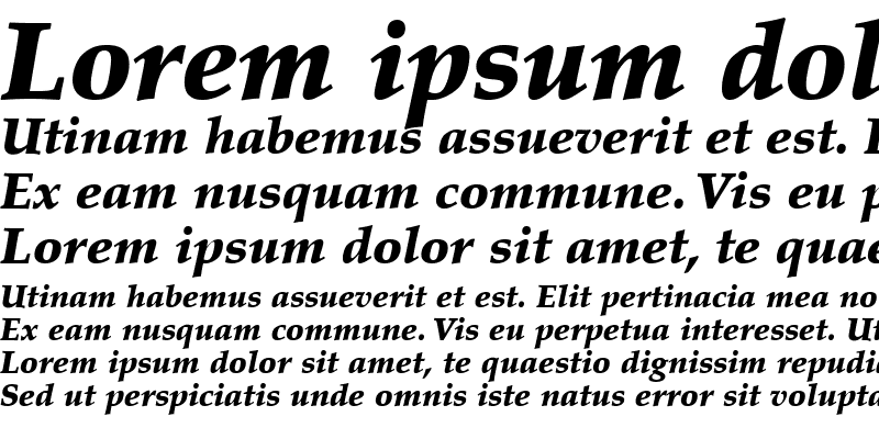 Sample of Palatino LT Black Italic