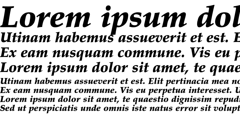 Sample of Palatino LT Std Black Italic