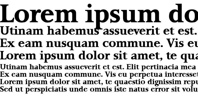 Sample of Palermo Bold