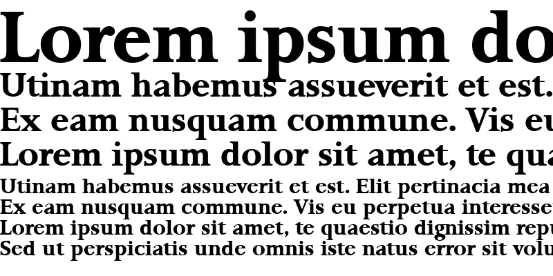 Sample of Palermo-Serial Bold