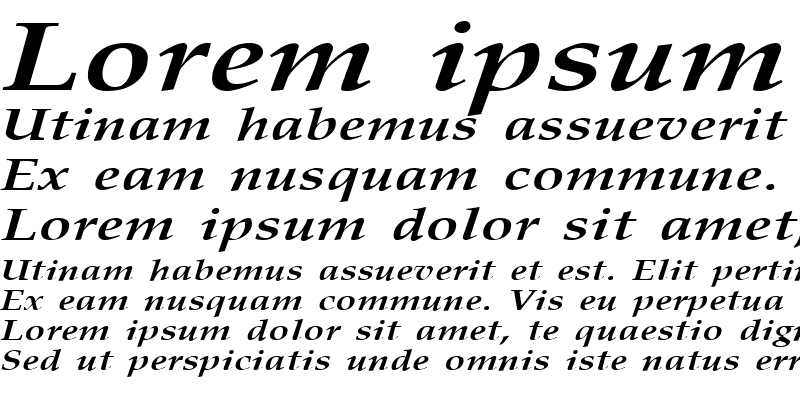 Sample of PalisadeBroad Bold Italic