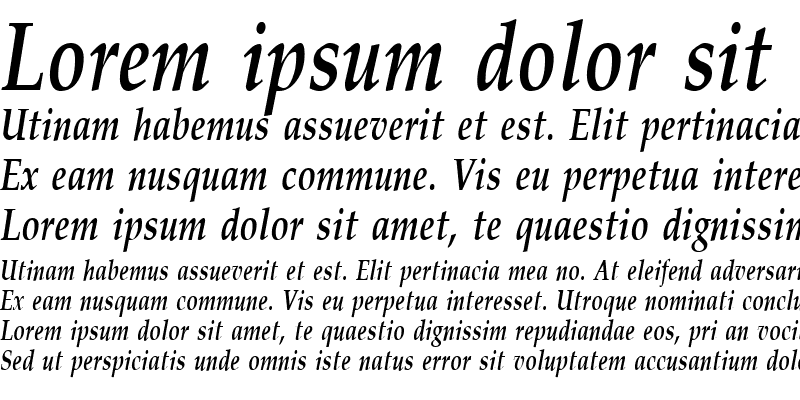 Sample of PalisadeCondensed Bold Italic